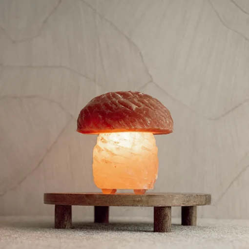Baby Natura Himalaya zoutlamp paddenstoel